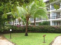  Les jardins devant nos chambres